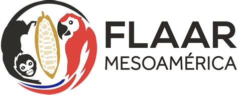 FLAAR MESOAMERICA .